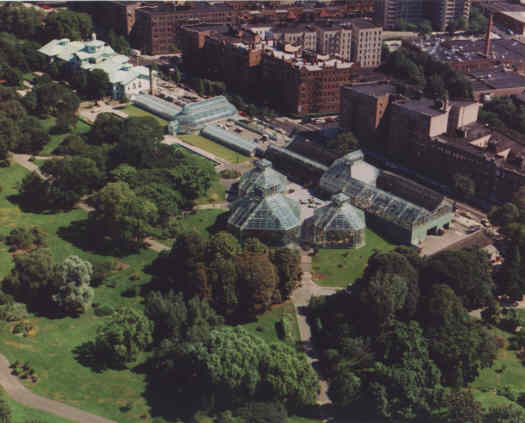 Brooklyn Botanical Garden