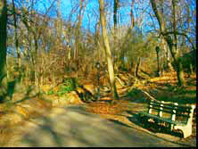 The Ramble
